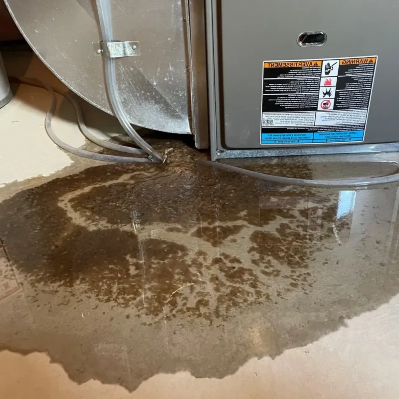 Pipe Burst and Leak Restoration in Springfield, SD