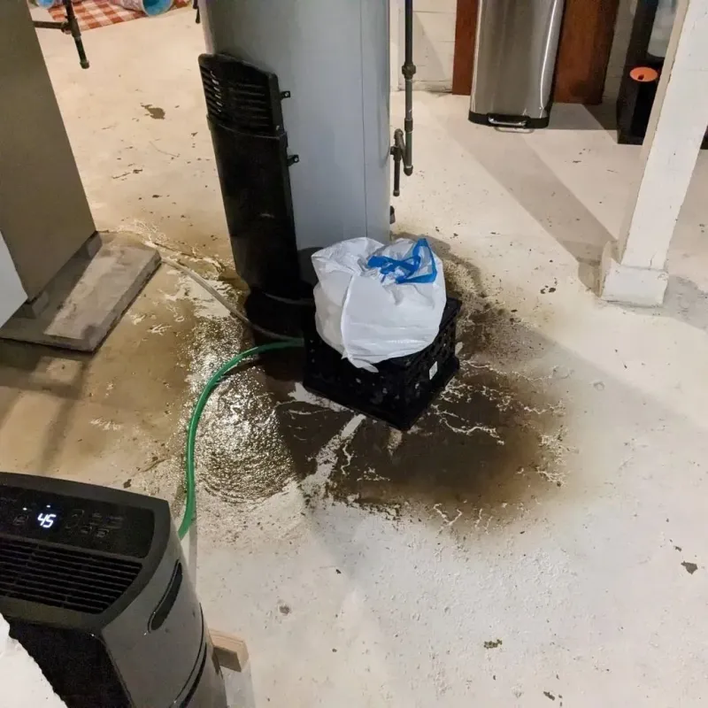 Sewage Backup Cleanup Service in Springfield, SD